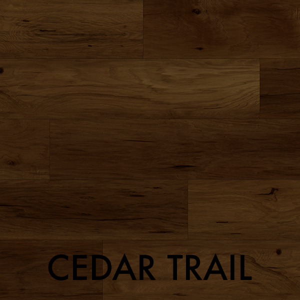 CEDAR TRAIL