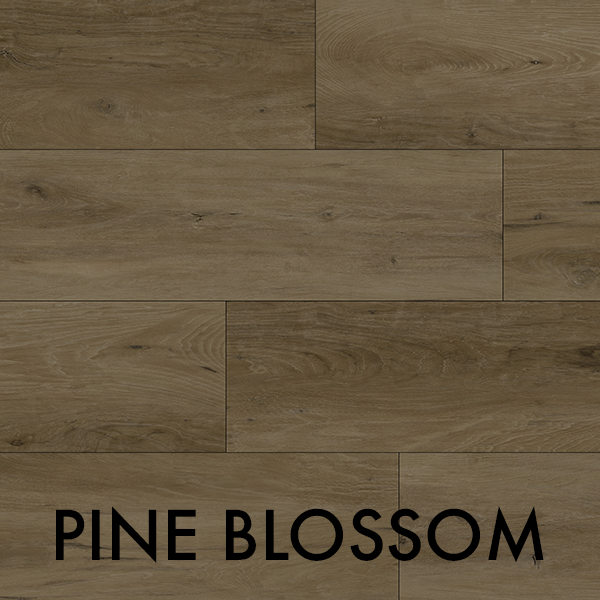 PINE BLOSSOM