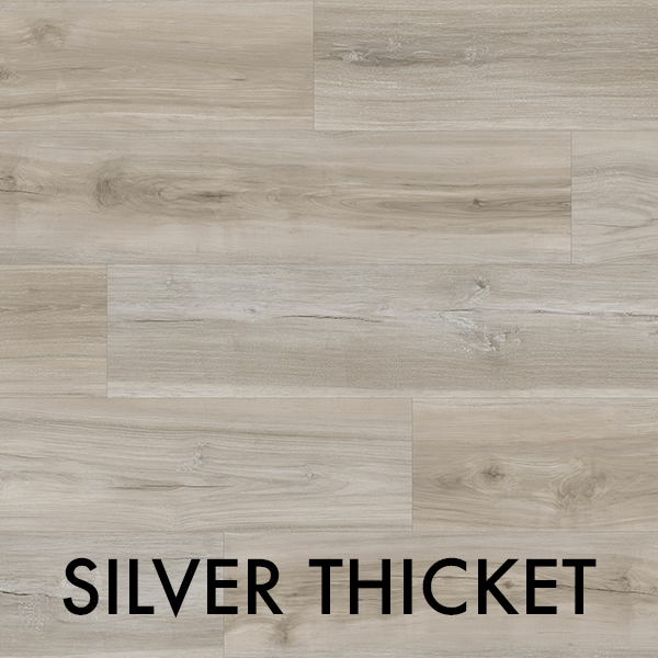 SILVER THICKET