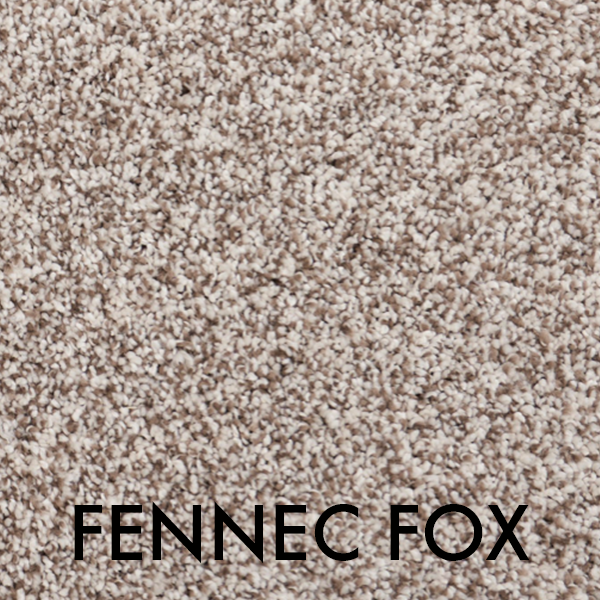 DC FENNEC FOX