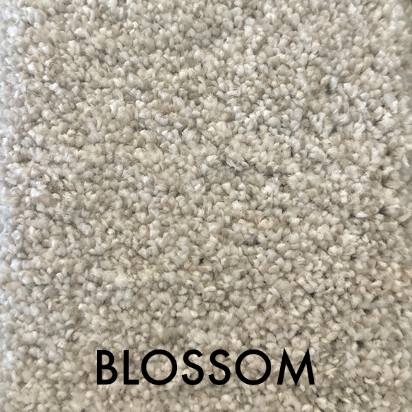 BLOSSOM