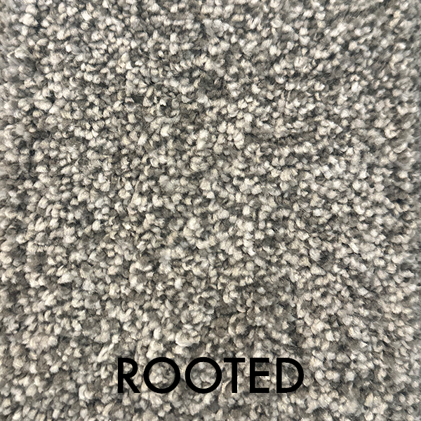 ROOTED