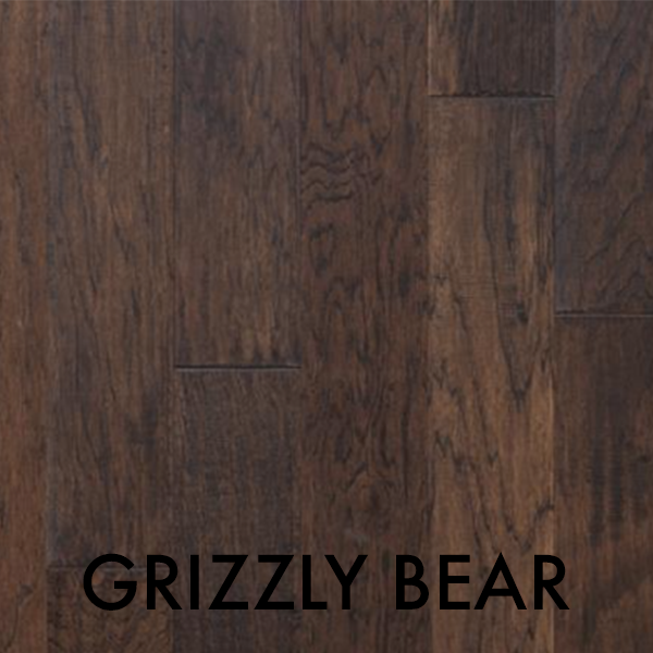 CASCADES GRIZZLY BEAR